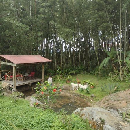 Finca Exclusividad Familiar O Grupo De Amigos Capacidad Hasta 12 Personas Calles En Placa Huella, Caminata Ecologica Alban  Kültér fotó