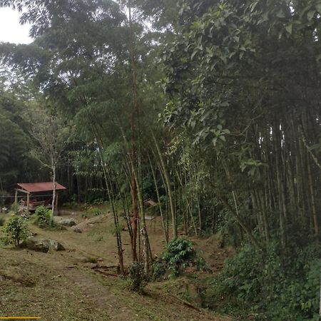 Finca Exclusividad Familiar O Grupo De Amigos Capacidad Hasta 12 Personas Calles En Placa Huella, Caminata Ecologica Alban  Kültér fotó