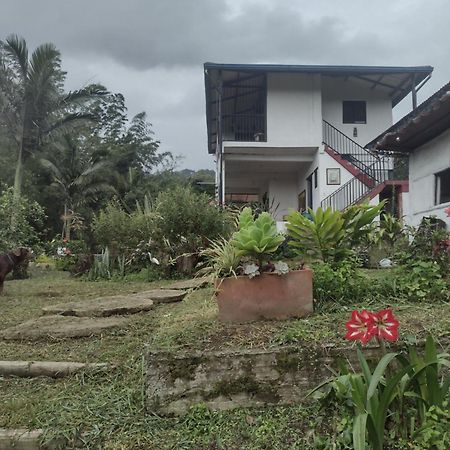 Finca Exclusividad Familiar O Grupo De Amigos Capacidad Hasta 12 Personas Calles En Placa Huella, Caminata Ecologica Alban  Kültér fotó