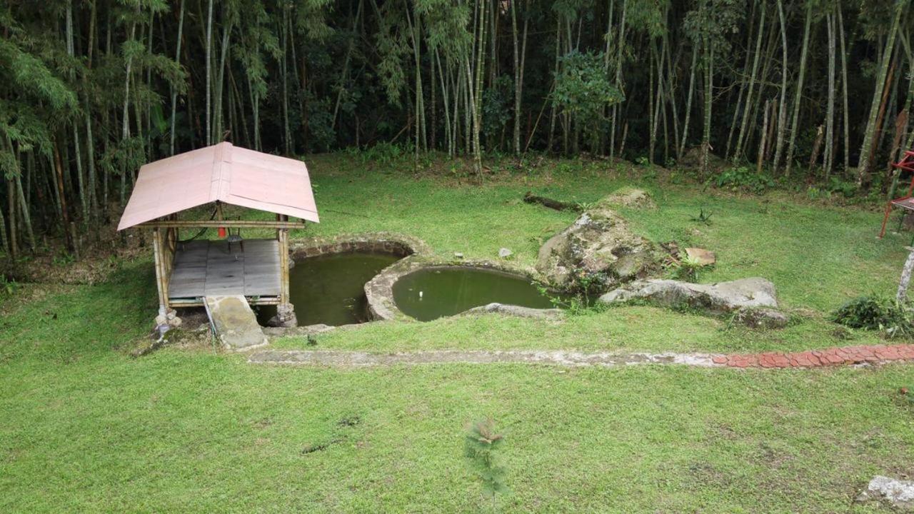 Finca Exclusividad Familiar O Grupo De Amigos Capacidad Hasta 12 Personas Calles En Placa Huella, Caminata Ecologica Alban  Kültér fotó