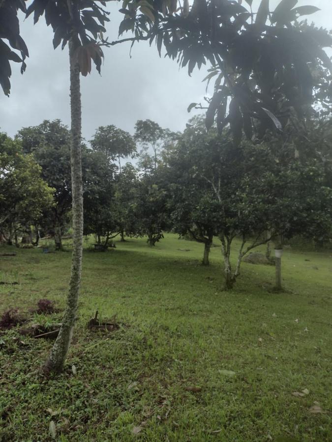 Finca Exclusividad Familiar O Grupo De Amigos Capacidad Hasta 12 Personas Calles En Placa Huella, Caminata Ecologica Alban  Kültér fotó