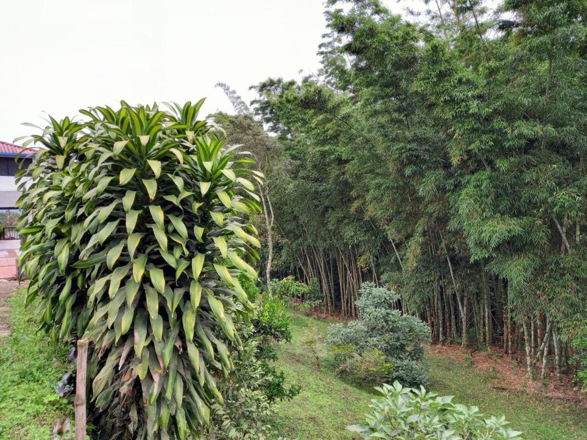 Finca Exclusividad Familiar O Grupo De Amigos Capacidad Hasta 12 Personas Calles En Placa Huella, Caminata Ecologica Alban  Kültér fotó