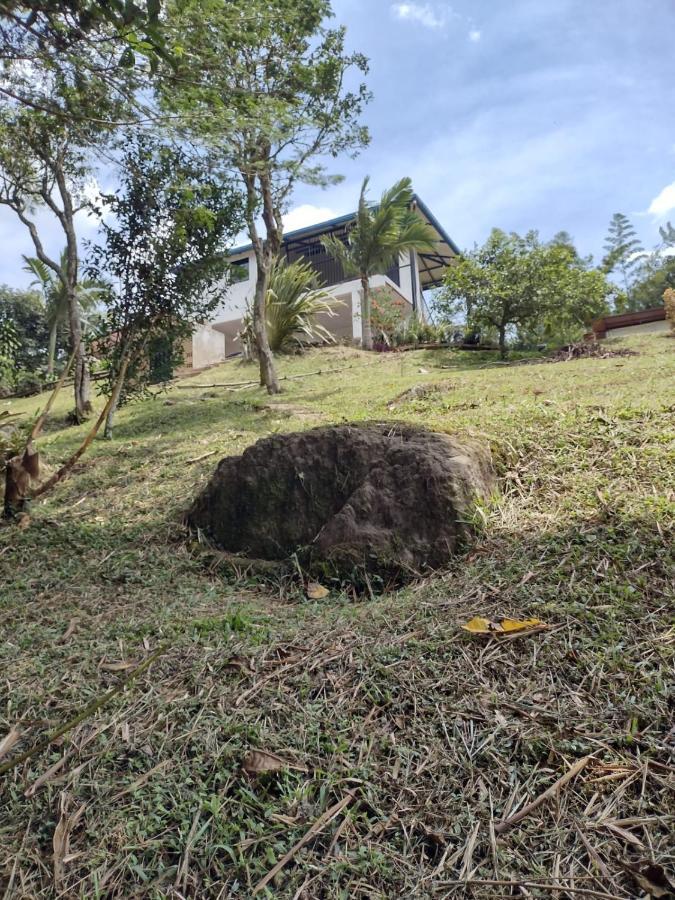 Finca Exclusividad Familiar O Grupo De Amigos Capacidad Hasta 12 Personas Calles En Placa Huella, Caminata Ecologica Alban  Kültér fotó