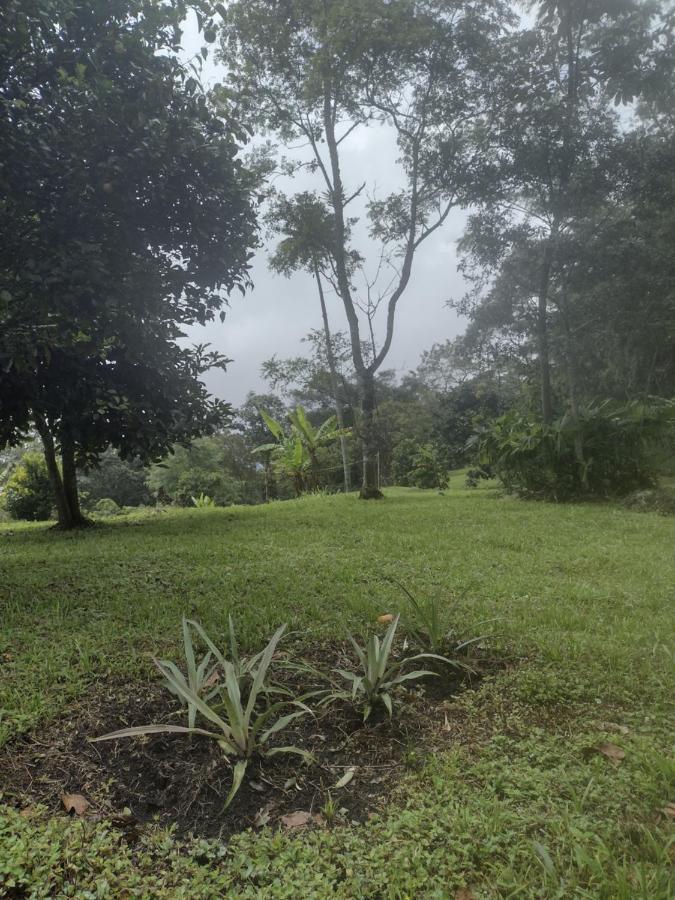 Finca Exclusividad Familiar O Grupo De Amigos Capacidad Hasta 12 Personas Calles En Placa Huella, Caminata Ecologica Alban  Kültér fotó