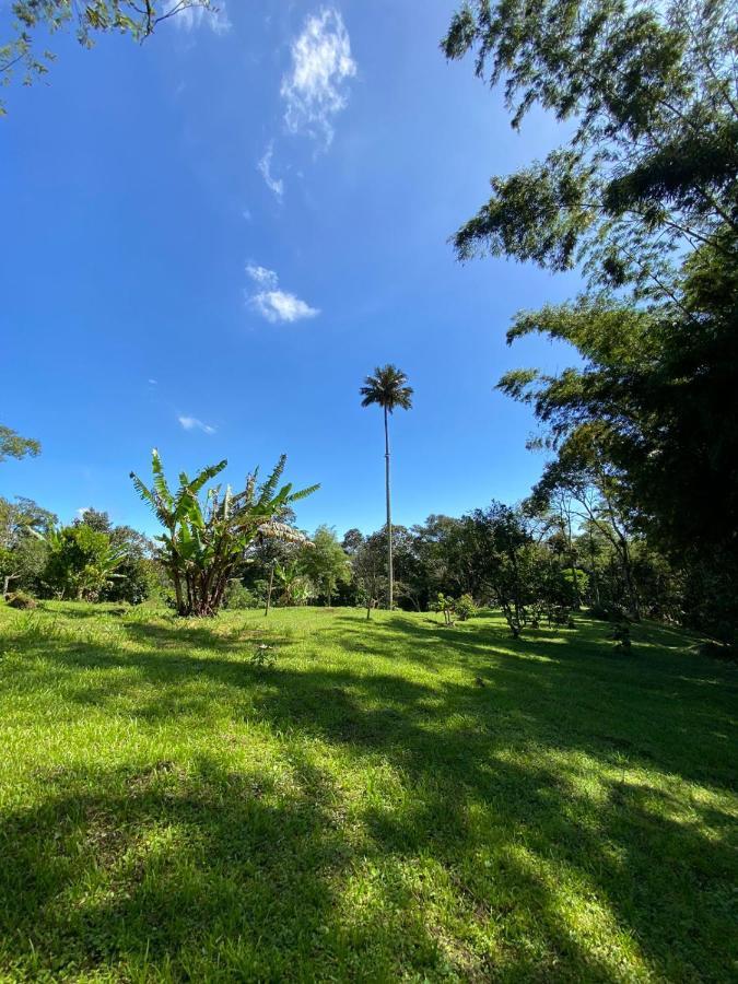 Finca Exclusividad Familiar O Grupo De Amigos Capacidad Hasta 12 Personas Calles En Placa Huella, Caminata Ecologica Alban  Kültér fotó