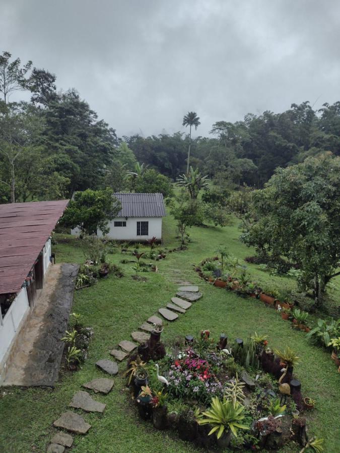 Finca Exclusividad Familiar O Grupo De Amigos Capacidad Hasta 12 Personas Calles En Placa Huella, Caminata Ecologica Alban  Kültér fotó