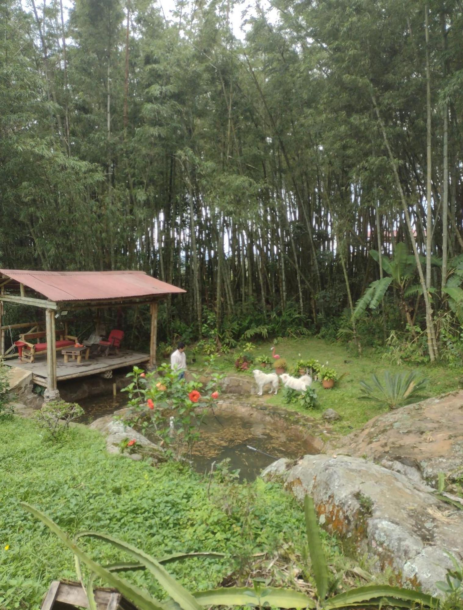 Finca Exclusividad Familiar O Grupo De Amigos Capacidad Hasta 12 Personas Calles En Placa Huella, Caminata Ecologica Alban  Kültér fotó